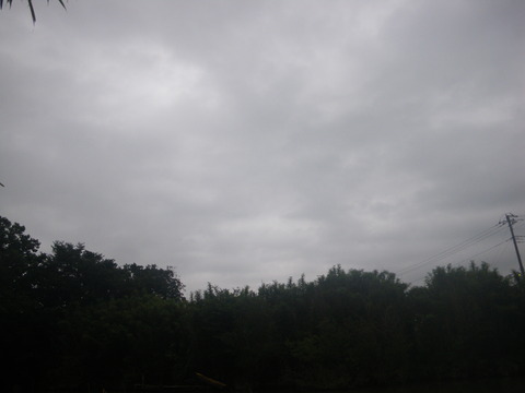 IMGP0544