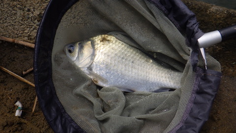 RIMG3183