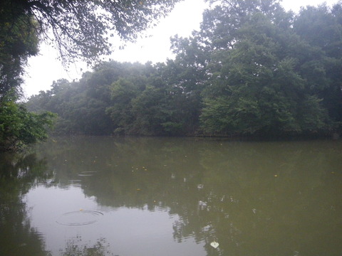 IMGP0806