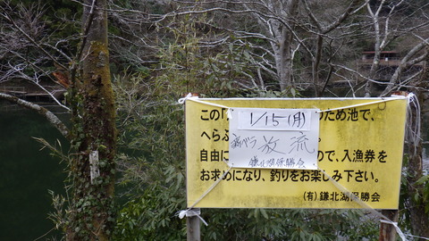 RIMG0660