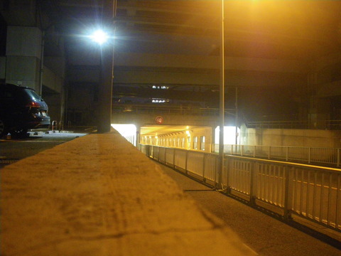 IMGP0841