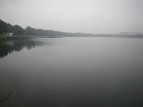 IMGP0538
