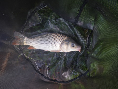 IMGP0658 - コピー