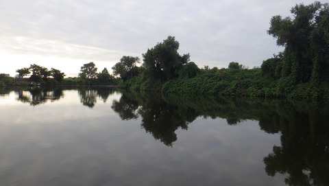 RIMG0777