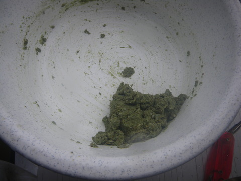 IMGP0548