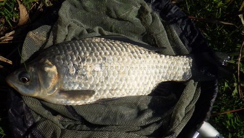 RIMG1244