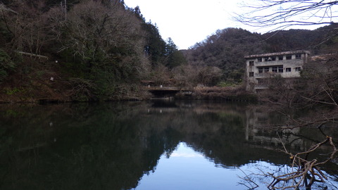 RIMG0647