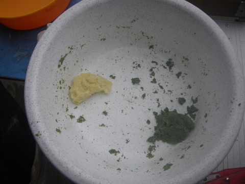 IMGP0547