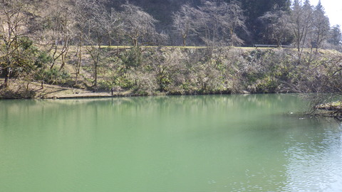 RIMG0718