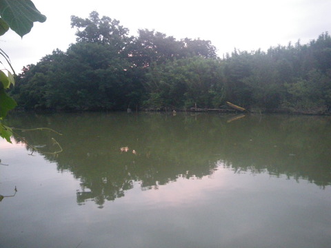 IMGP0541