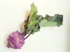 R0054040_�������Ӽ���_20121127