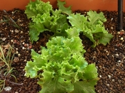 R0014879_�쥿��������