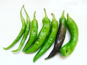 R0021358_����ɻҼ���_20091007