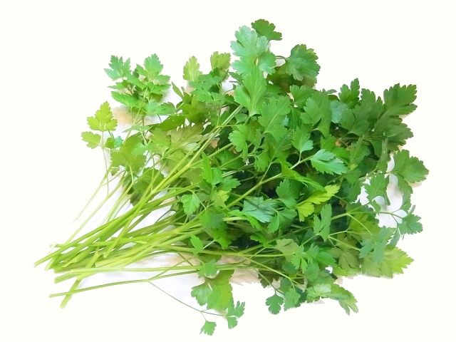 巨大化とう立ち イタリアンパセリたっぷりパスタ Kochan S ベランダ菜園blog マンションガーデニング 家庭菜園 仙台グルメ キャンペーン情報等 巨大化とう立ち イタリアンパセリたっぷりパスタ Kochan S ベランダ菜園blog マンションガーデニング 家庭菜園 仙台グルメ キャンペーン情報等