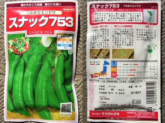 スナップエンドウ 種蒔き Kochan S ベランダ菜園blog マンションガーデニング 家庭菜園 仙台グルメ キャンペーン情報等 スナップエンドウ 種蒔き Kochan S ベランダ菜園blog マンションガーデニング 家庭菜園 仙台グルメ キャンペーン情報等