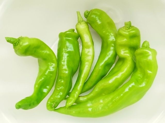 R0058123_万願寺唐辛子収穫_20130908