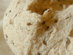 R0043739_�ѥ����Ϥ���Υǥ��륷����_20110710