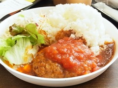 R0055716_日本科学未来館5Fカフェの煮込みハンバーグ_20130505