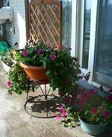 200608_���꡼�ԥ��ޥ������