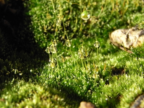 R0014084_�ݤ�˦��ǹ�ο�ũ