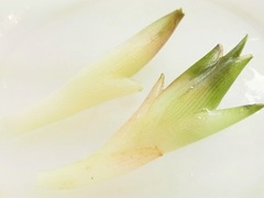 R0057111_謲٤μ���_20130707