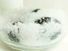 R0046214_���꡼�֤μ¤α��Ҥ�_20111106