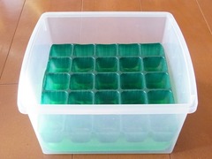 R0054205_収納ケースにセルトレイ_20121216