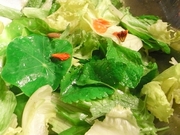 R0017462_ベランダ菜園の野菜収穫_20090508