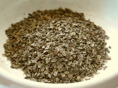 R0043732_�ǥ��륷����_20110710