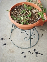 �٥����ǰ��ֿ͵��ο�ʪ_Ļ��