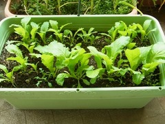 R0055054_�һ������_20130330