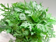 R0016421_յƤܡ˻_20090410