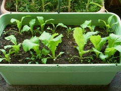 R0055101_�һ�����ڴְ�����_20130331