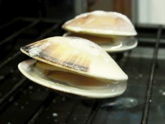 R0052304_�Ƥ��Ϥޤ���_20120821_0052