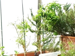 R0046157_����ɻ�_20111105