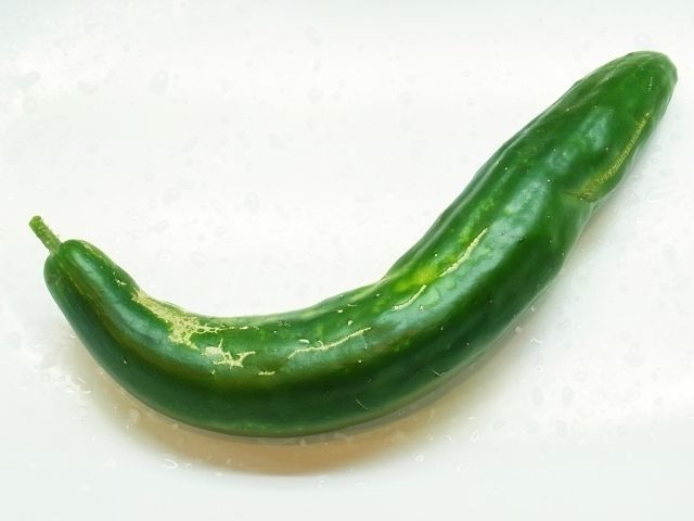 R0051227_巨大キュウリ収穫_20120716