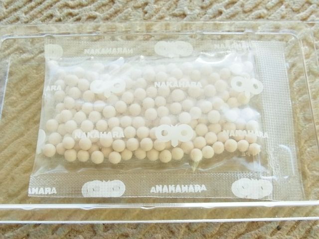 子持ち高菜の種をまきました Kochan S ベランダ菜園blog マンションガーデニング 家庭菜園 仙台グルメ キャンペーン情報等 子持ち高菜の種をまきました Kochan S ベランダ菜園blog マンションガーデニング 家庭菜園 仙台グルメ キャンペーン情報等