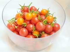 R0051551_�ߥ˥ȥޥȼ���_20120728