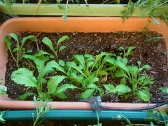 R0061664_ܤһ_20140914