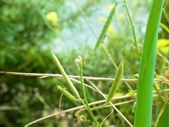 R0046288_����Х���_20111112