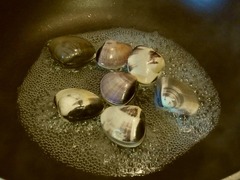 R0052317_�Ϥޤ�������_20120821_0109