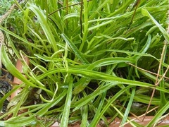 R0050719_����Х��ƥ���դ��ͻ�_20120623