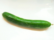R0020017_キュウリ収穫_20090813