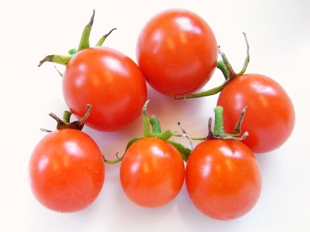 R0029222_ミニトマト収穫_20101215