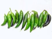 R0029274_�������ɻ�_20101218