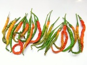 R0029278_����ե봥��Ҥ�Ȥ����餷_20101218