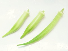 R0052459_白オクラ_20120826