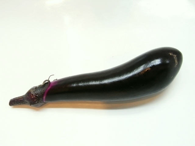 R0019532_長ナスの実1収穫_20090727