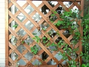 R0016318_����ޥ���_20090407