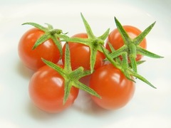 R0061482_�ץ��ߥ˥ȥޥȤμ���_20140720